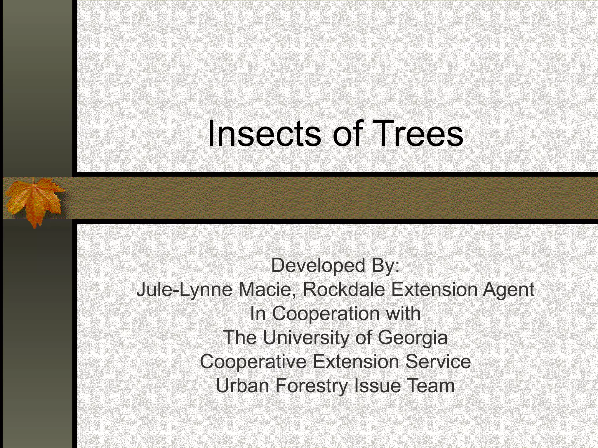 Insects of Trees

Developed By:
Jule-Lynne Macie, Rockdale Extension Agent
In Cooperation with
The University of Georgia
Cooperative Extension Service
Urban Forestry Issue Team

 