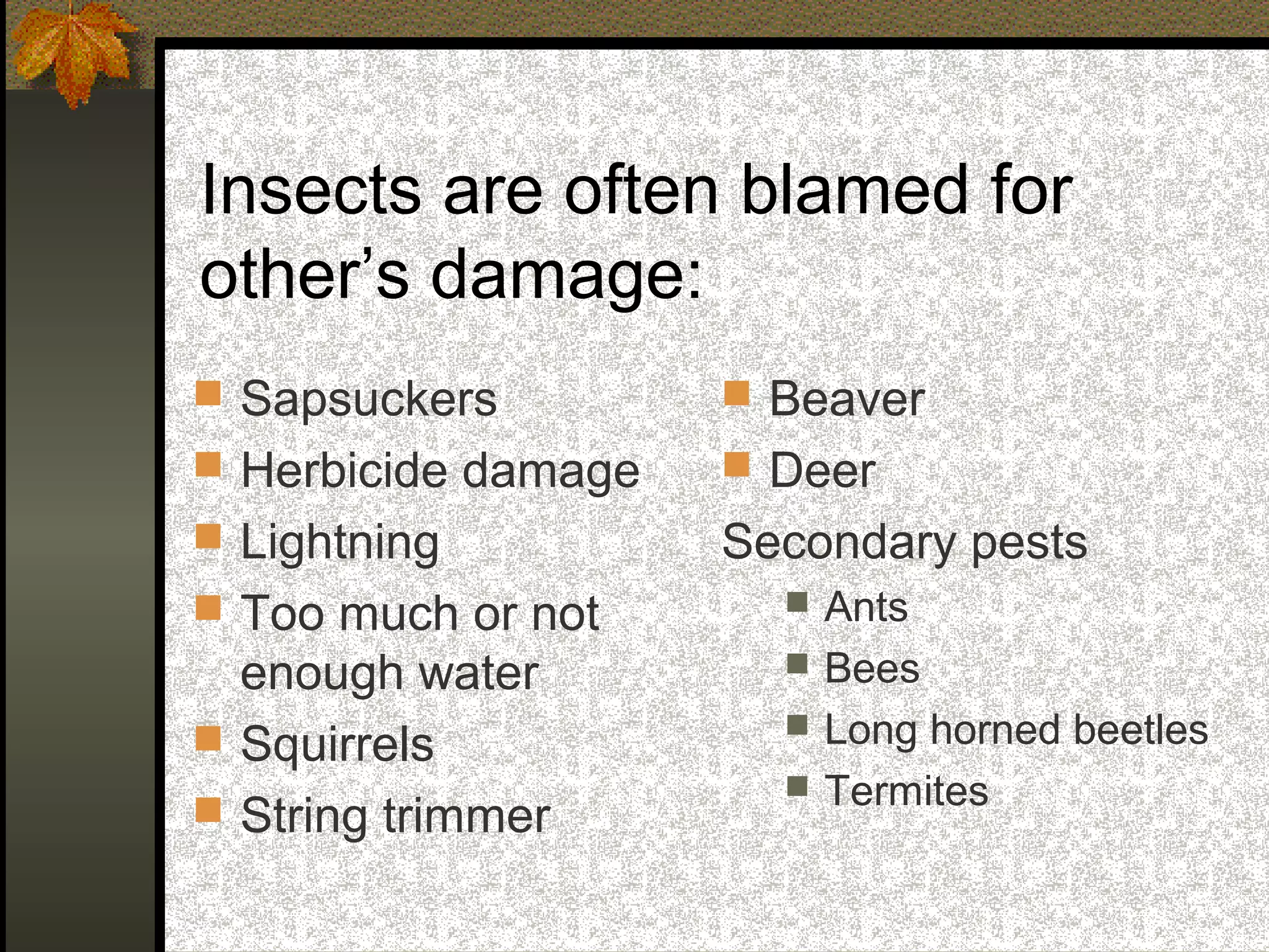 Insects are often blamed for
other’s damage:
 Sapsuckers

 Beaver

 Herbicide damage

 Deer

 Lightning

Secondary pests

 Too much or not



enough water
 Squirrels
 String trimmer





Ants
Bees
Long horned beetles
Termites

 
