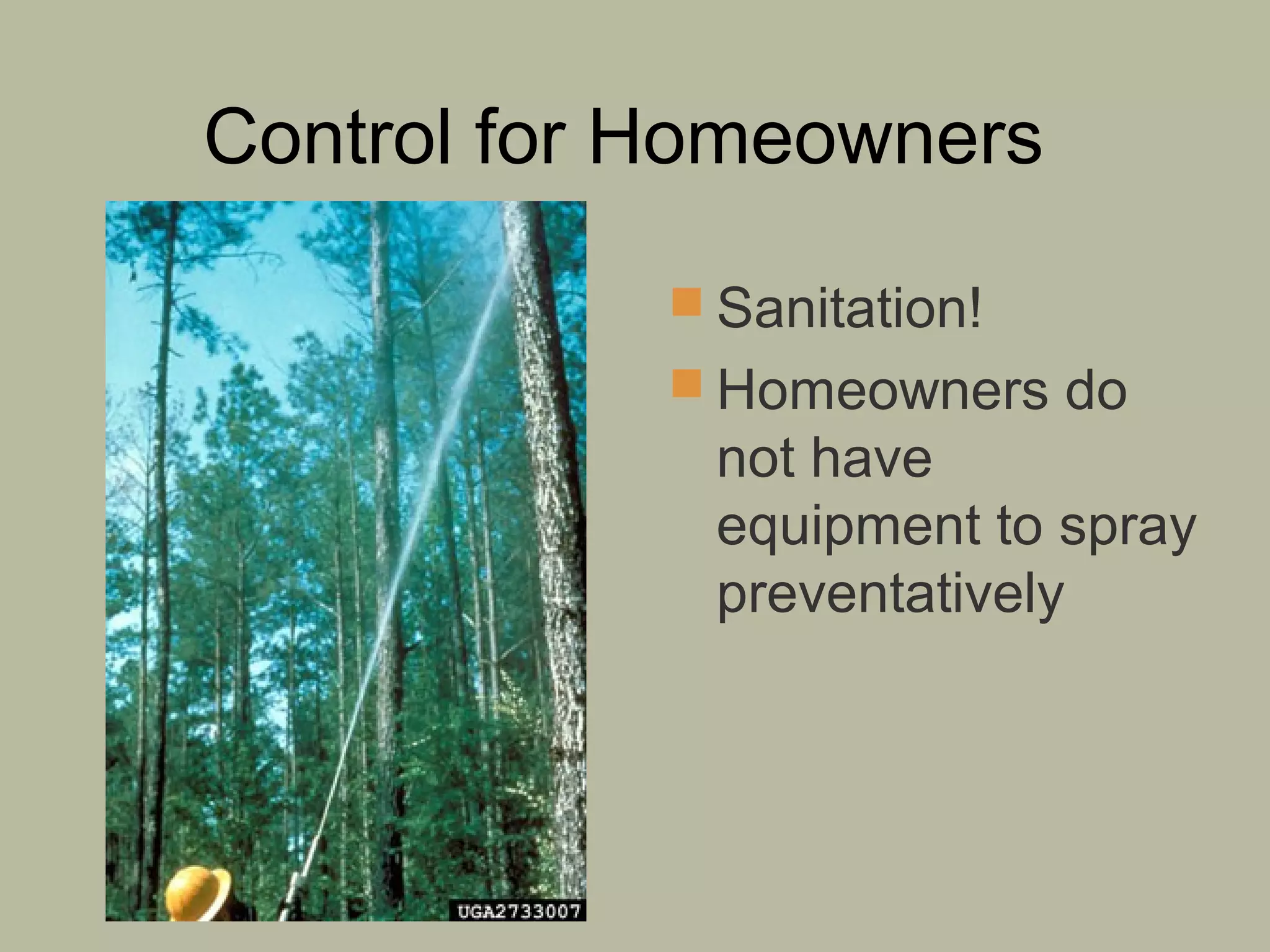 Control for Homeowners
 Sanitation!
 Homeowners do

not have
equipment to spray
preventatively

 