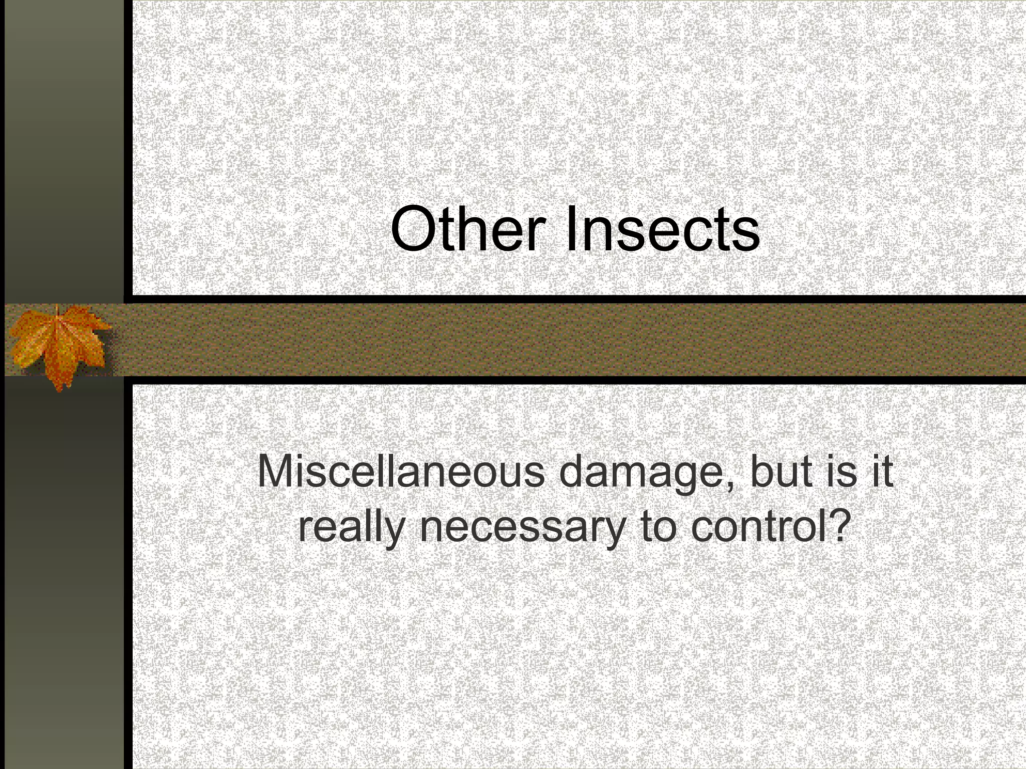 Other Insects

Miscellaneous damage, but is it
really necessary to control?

 