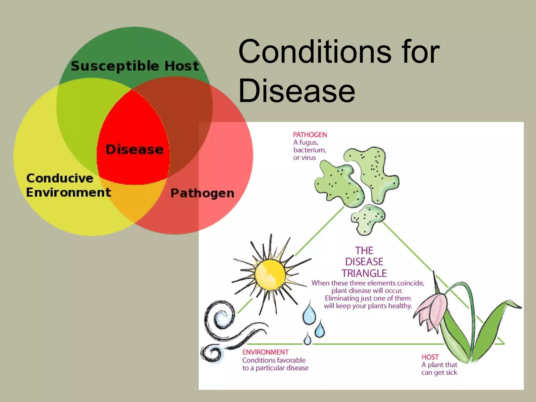 Conditions for
Disease

 