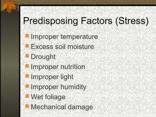 Predisposing Factors (Stress)
 Improper temperature
 Excess soil moisture
 Drought
 Improper nutrition
 Improper light
 Improper humidity
 Wet foliage
 Mechanical damage

 