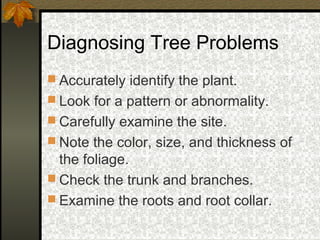 Diagnosing Tree Problems
 Accurately identify the plant.
 Look for a pattern or abnormality.
 Carefully examine the site.
 Note the color, size, and thickness of

the foliage.
 Check the trunk and branches.
 Examine the roots and root collar.

 