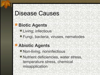 Disease Causes
 Biotic Agents
 Living;

infectious
 Fungi, bacteria, viruses, nematodes
 Abiotic Agents
 Non-living,

noninfectious
 Nutrient deficiencies, water stress,
temperature stress, chemical
misapplication

 