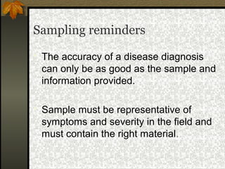 Sampling reminders
 The accuracy of a disease diagnosis

can only be as good as the sample and
information provided.
 Sample must be representative of

symptoms and severity in the field and
must contain the right material.

 