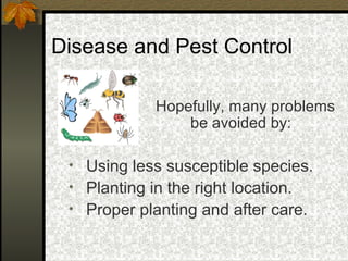 Disease and Pest Control

can
•
•
•

Hopefully, many problems
be avoided by:

Using less susceptible species.
Planting in the right location.
Proper planting and after care.

 