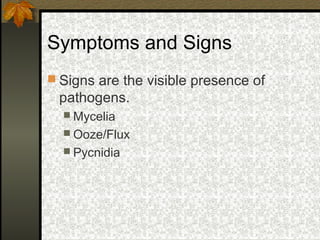 Symptoms and Signs
 Signs are the visible presence of

pathogens.
 Mycelia
 Ooze/Flux
 Pycnidia

 