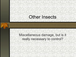 Other Insects

Miscellaneous damage, but is it
really necessary to control?

 