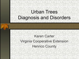 Urban Trees
Diagnosis and Disorders

Karen Carter
Virginia Cooperative Extension
Henrico County

 
