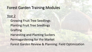 Trees for the Future | PPTX