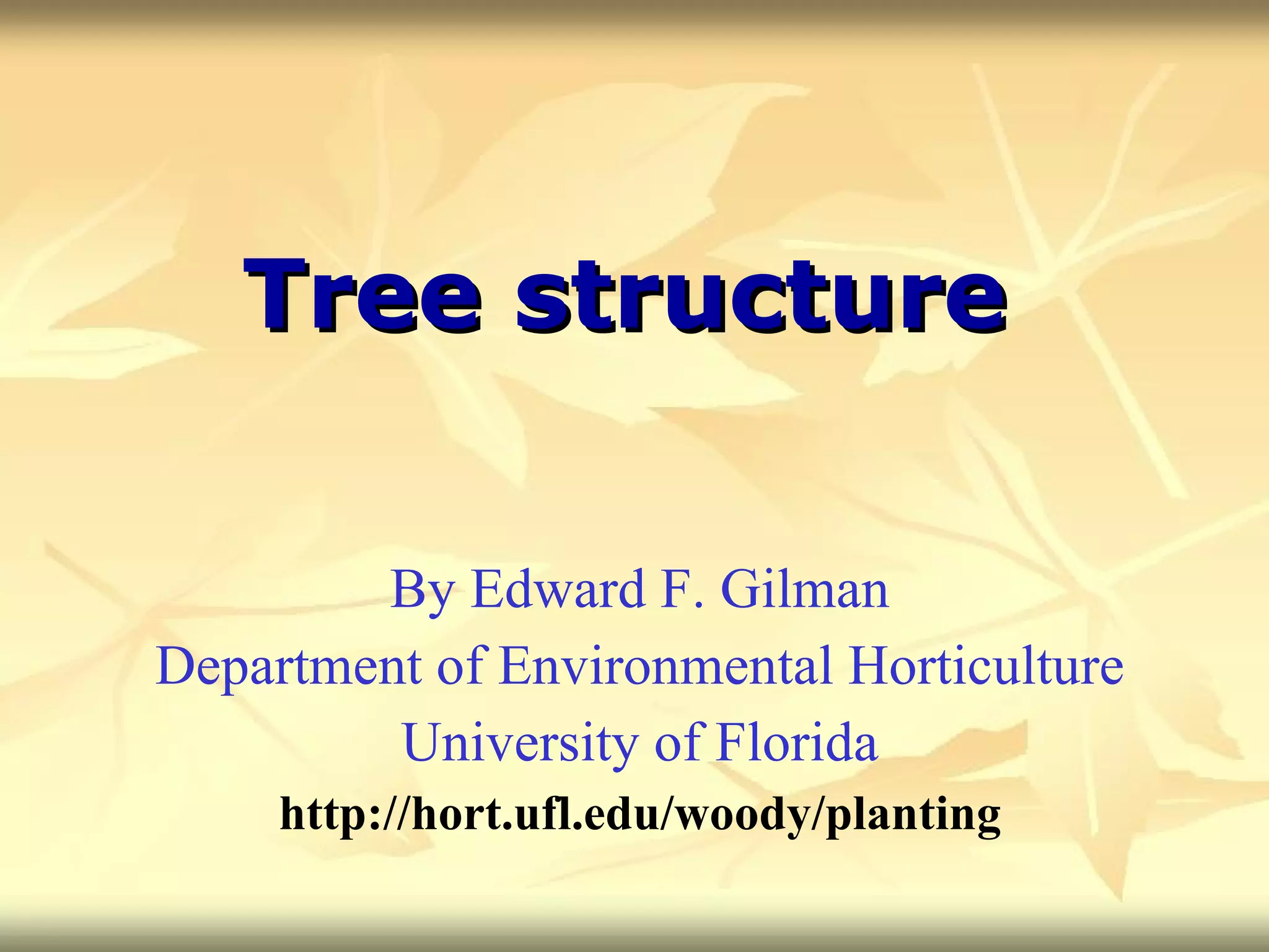Tree structure By Edward F. Gilman Department of Environmental Horticulture University of Florida http://hort.ufl.edu/woody/planting 