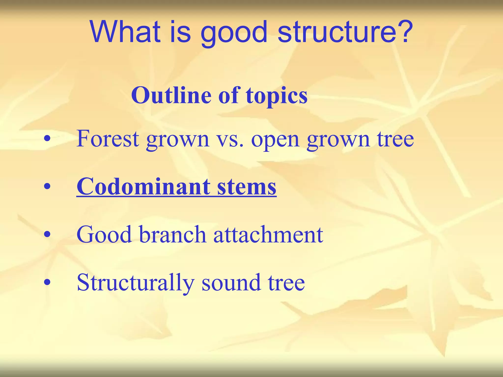 What is good structure? Forest grown vs. open grown tree Codominant stems Good branch attachment Structurally sound tree Outline of topics 