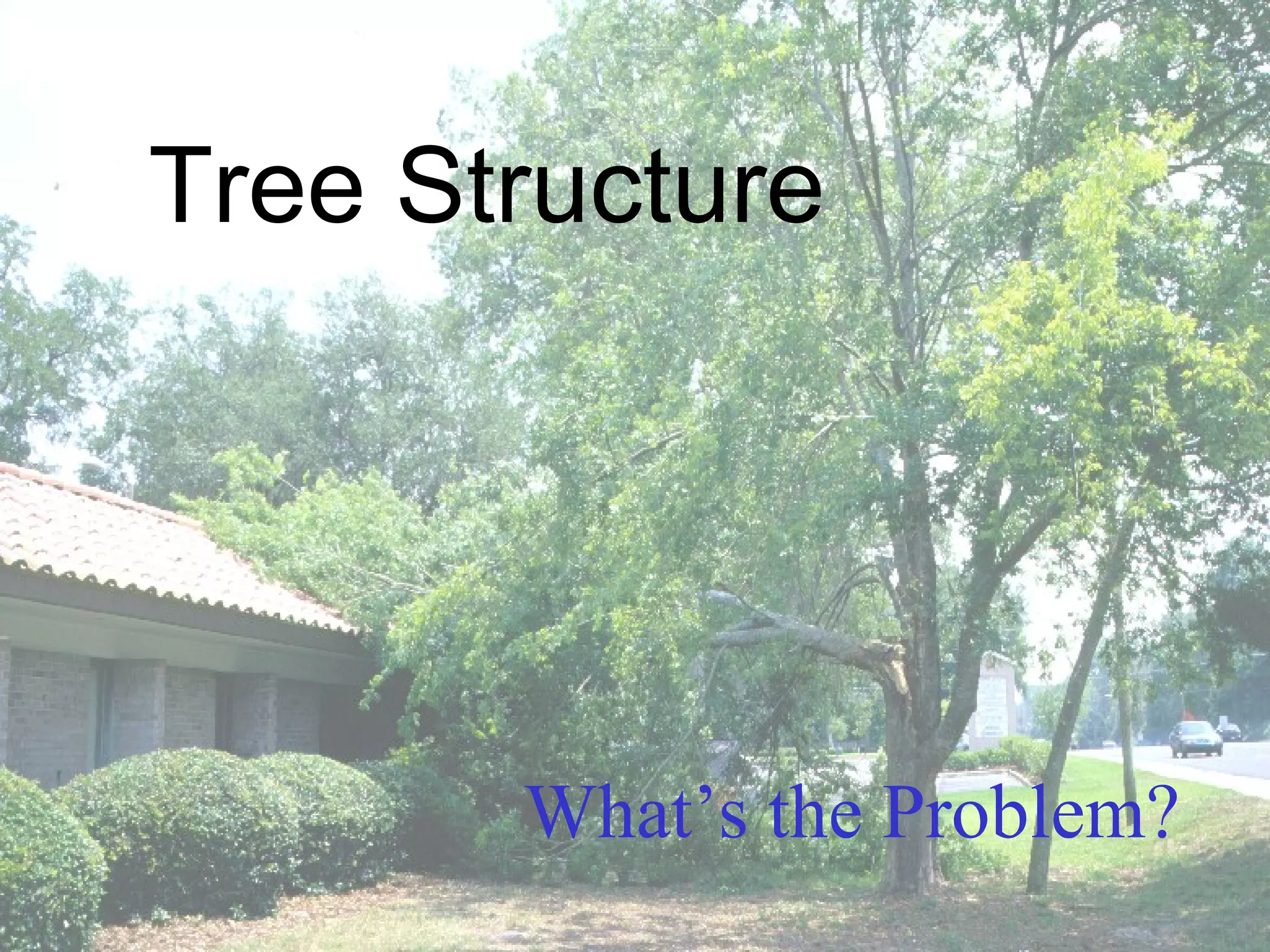 Tree Structure What’s the Problem? 
