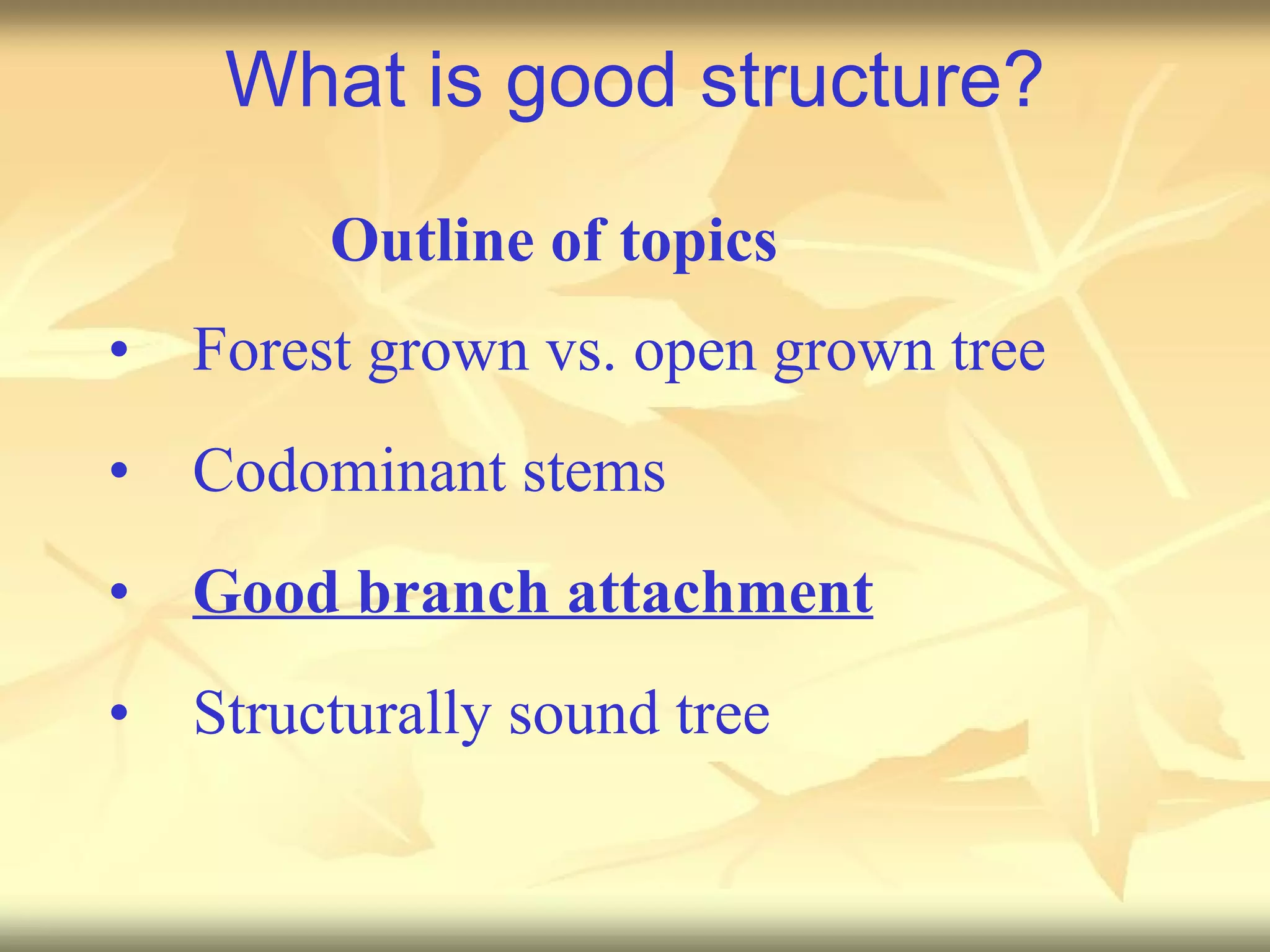 What is good structure? Forest grown vs. open grown tree Codominant stems Good branch attachment Structurally sound tree Outline of topics 