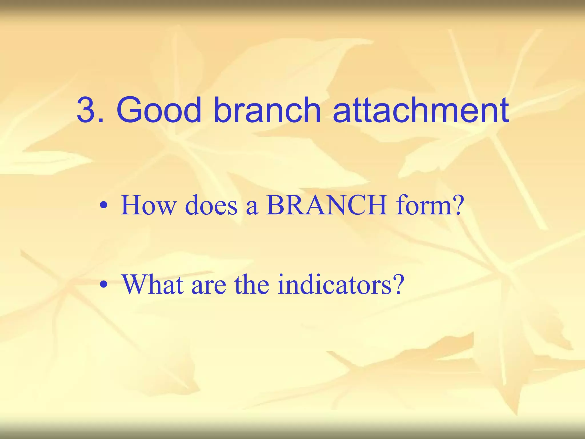 3. Good branch attachment How does a BRANCH form? What are the indicators? 
