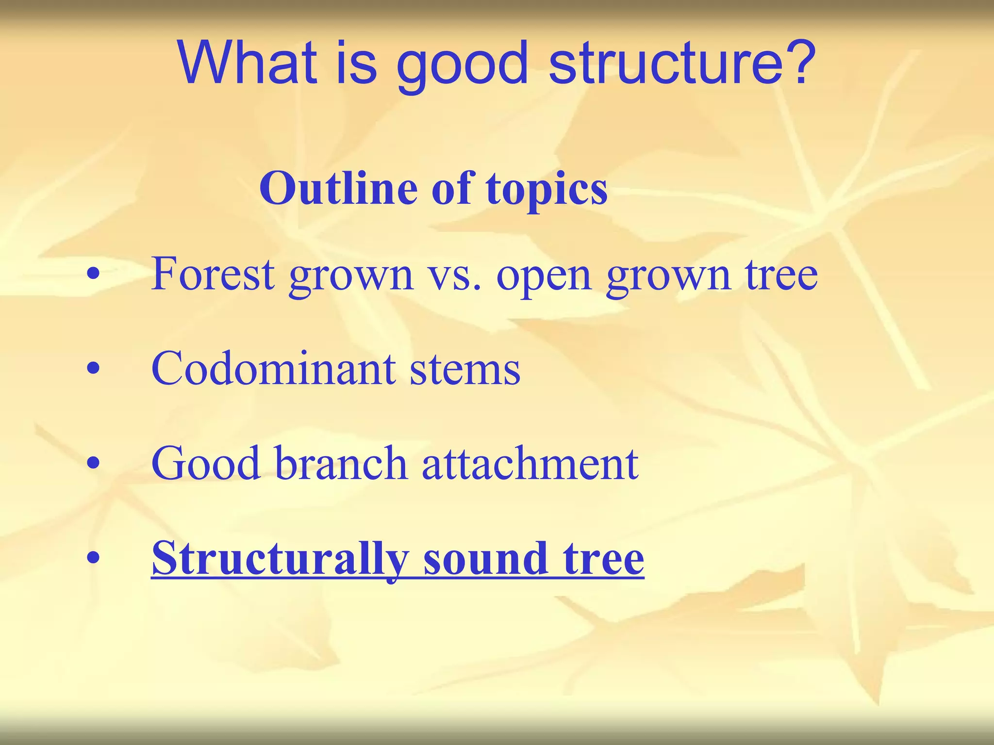 What is good structure? Forest grown vs. open grown tree Codominant stems Good branch attachment Structurally sound tree Outline of topics 