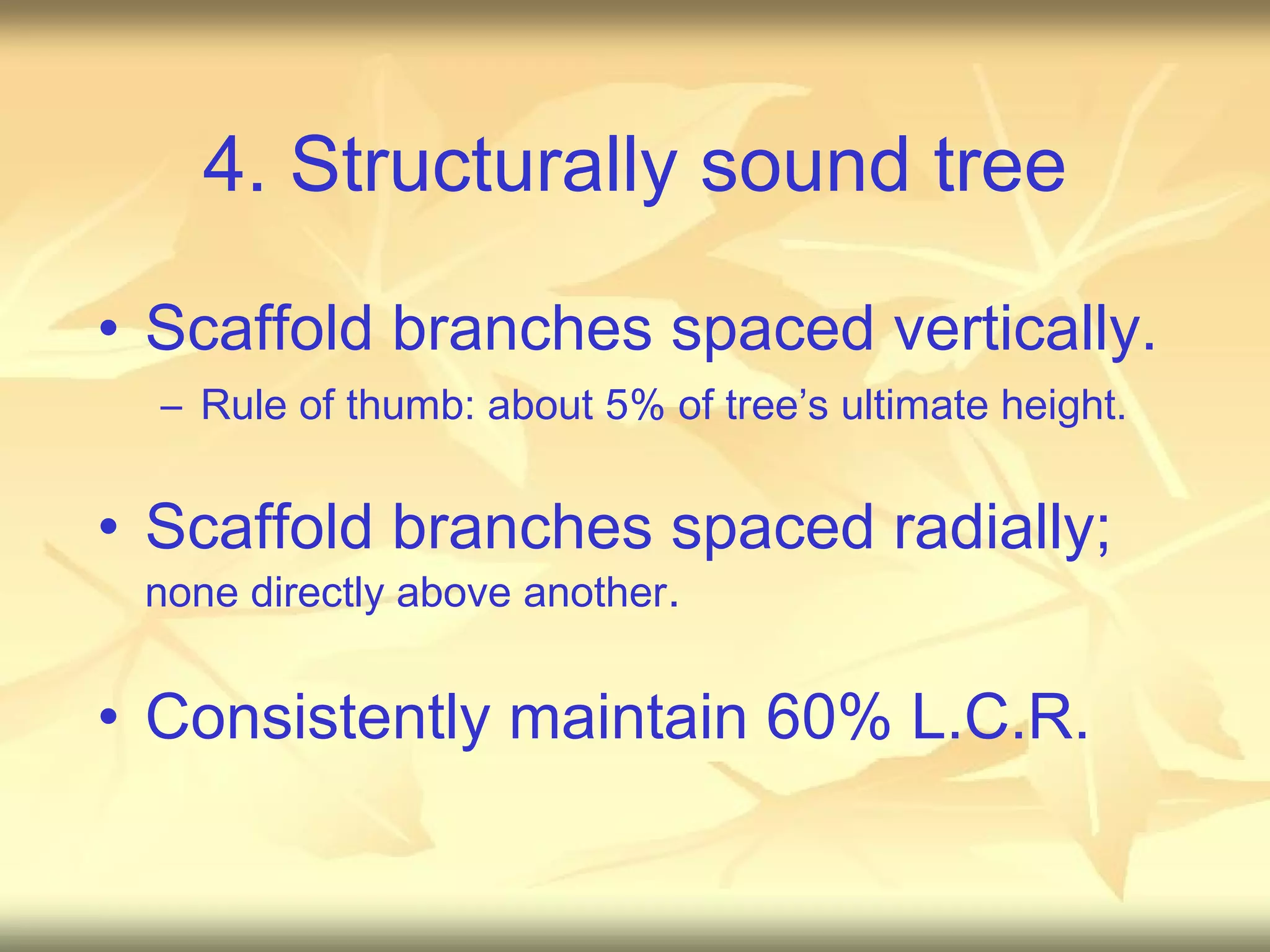 4. Structurally sound tree Scaffold branches spaced vertically. Rule of thumb: about 5% of tree’s ultimate height. Scaffold branches spaced radially;  none directly above another . Consistently maintain 60% L.C.R. 
