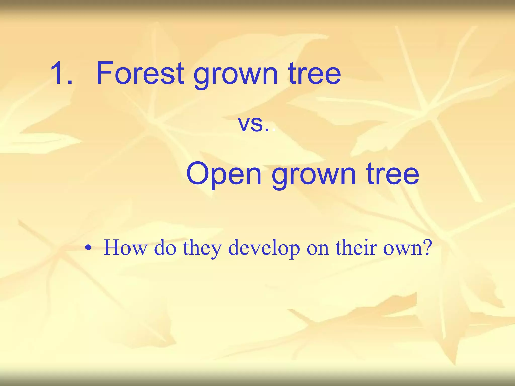 Forest grown tree How do they develop on their own? vs. . Open grown tree 
