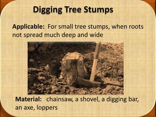 Removing Stump with Grinder 
Applicable: For big and wide tree stump 
Material: Stump Grinder 
 
