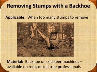 Removing Tree Stumps by 
Applying Chemical 
Applicable: For removing huge stumps with 
rock solid wood and huge root syste...
