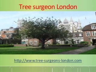 Tree surgeon London
http://www.tree-surgeons-london.com
 
