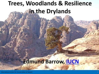Trees, Woodlands & Resilience
                  in the Drylands




                                Edmund Barrow, IUCN
International Union for Conservation of Nature        1
 