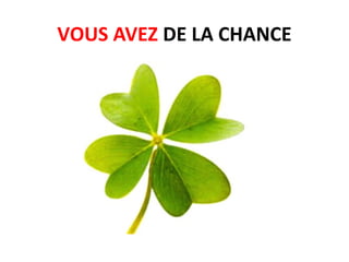 VOUS AVEZ DE LA CHANCE
 