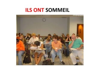 ILS ONT SOMMEIL