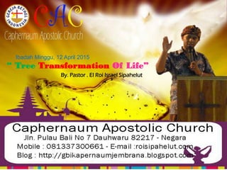 Tree Transformation Of Life
By. Pastor . El Roi Israel Sipahelut
“ Tree Transformation Of Life”
Ibadah Minggu, 12 April 2015
 