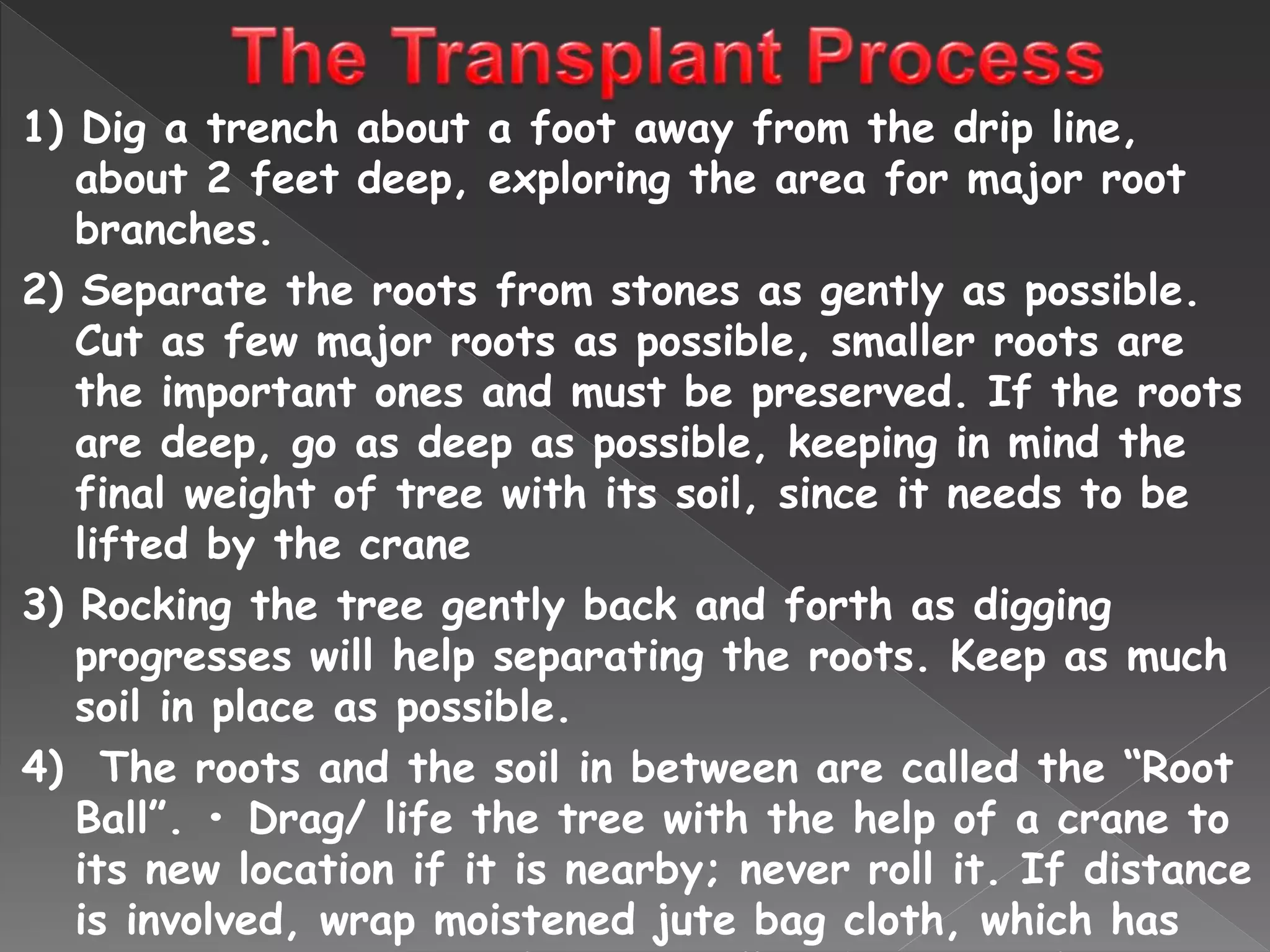 1) Dig a trench about a foot away from the drip line,
about 2 feet deep, exploring the area for major root
branches.
2) Separate the roots from stones as gently as possible.
Cut as few major roots as possible, smaller roots are
the important ones and must be preserved. If the roots
are deep, go as deep as possible, keeping in mind the
final weight of tree with its soil, since it needs to be
lifted by the crane
3) Rocking the tree gently back and forth as digging
progresses will help separating the roots. Keep as much
soil in place as possible.
4) The roots and the soil in between are called the “Root
Ball”. • Drag/ life the tree with the help of a crane to
its new location if it is nearby; never roll it. If distance
is involved, wrap moistened jute bag cloth, which has