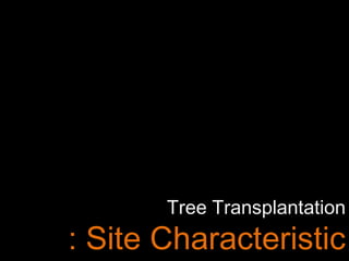 Tree Transplantation
: Site Characteristic
 