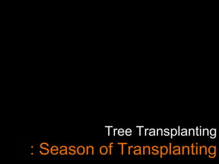 Tree Transplanting
: Season of Transplanting
 