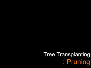 Tree Transplanting
: Pruning
 
