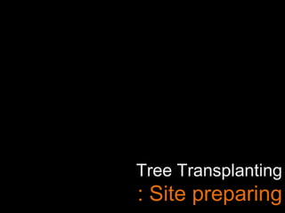 Tree Transplanting
: Site preparing
 