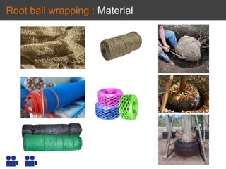 Root ball wrapping : Material
 