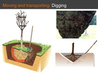 Moving and transporting: Digging
 