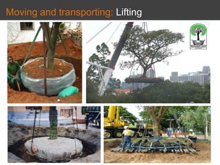 Moving and transporting: Lifting
 