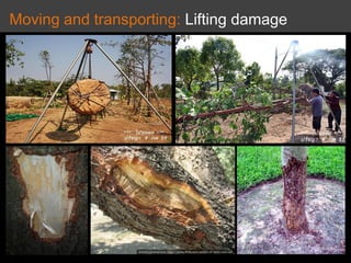Moving and transporting: Lifting damage
 