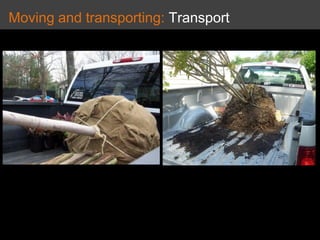Moving and transporting: Transport
 