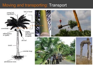 Moving and transporting: Transport
 