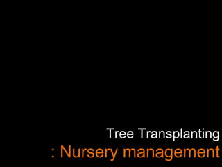 Tree Transplanting
: Nursery management
 