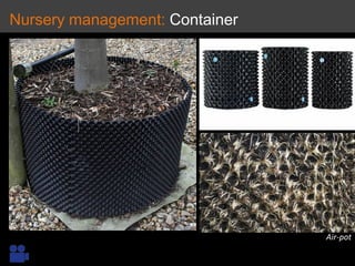 Nursery management: Container
Air-pot
 