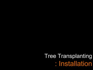 Tree Transplanting
: Installation
 