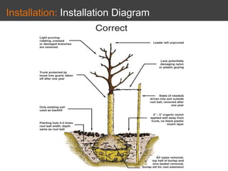 Installation: Installation Diagram
 