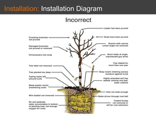 Installation: Installation Diagram
Installation Diagram
Installation Diagram
 