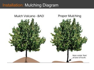 Installation: Mulching Diagram
Installation Diagram
Installation Diagram
 