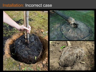 Installation: Incorrect case
 