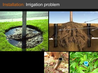 Installation: Irrigation problem
 