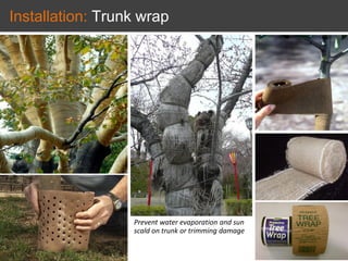 Installation: Trunk wrap
Prevent water evaporation and sun
scald on trunk or trimming damage
 