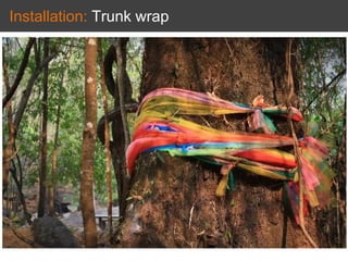 Installation: Trunk wrap
 